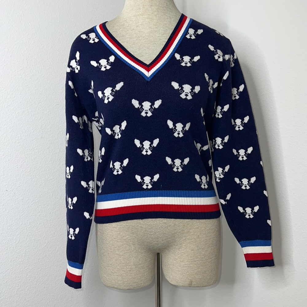 🔹 Forever 21 Frenchie V-neck Sweater